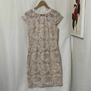 Soieblu Pink Lace Sleeveless Dress with Nude Underlay a175